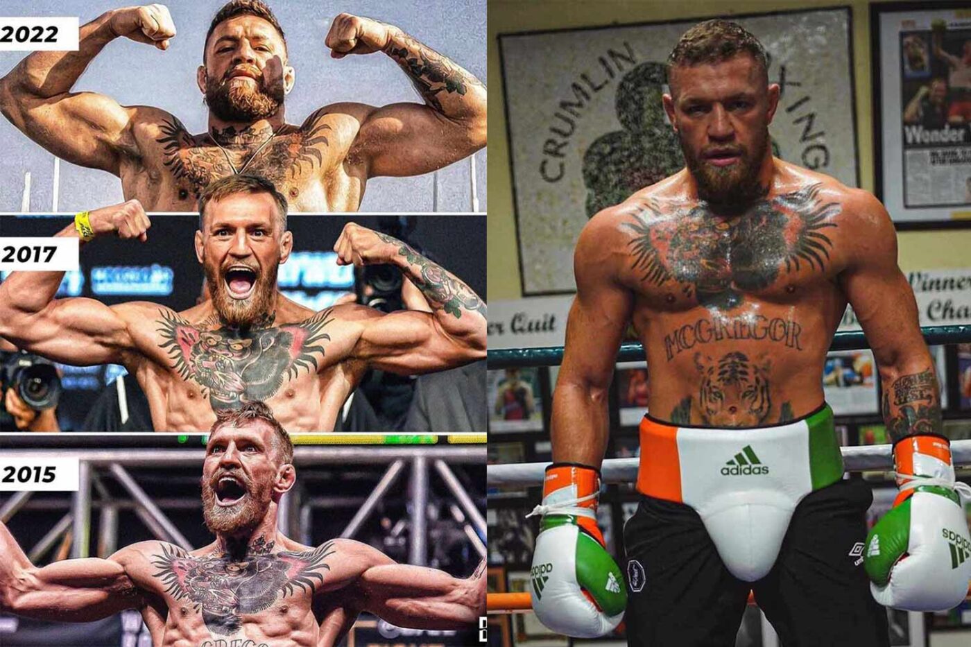 Conor McGregor’s 7-Year Body Transformation Is Insane