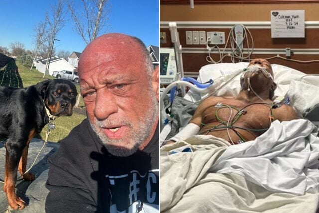 UFC Legend Mark Coleman’s Heroic Act That Nearly Cost Him His Life