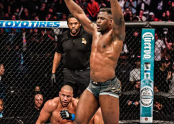 Francis Ngannou Stats